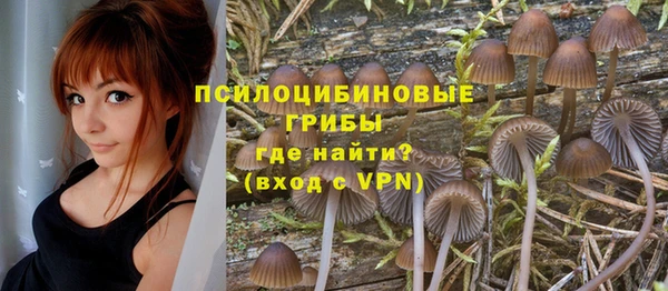 хмурый Богданович