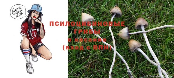 mix Богородицк