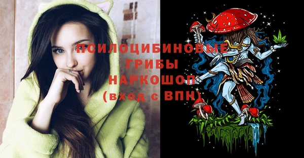 mdma Богородск