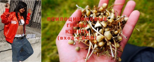 mdpv Березники