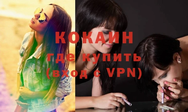 mix Богородицк