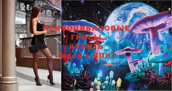 mix Богородицк