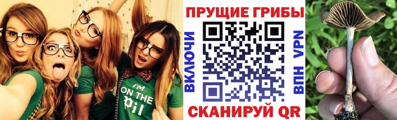 Галлюциногенные грибы GOLDEN TEACHER  Гороховец 